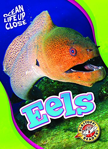 Eels (Ocean Life Up Close)