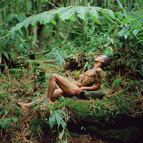 Nude man with tattoos rests among lush, green foliage.