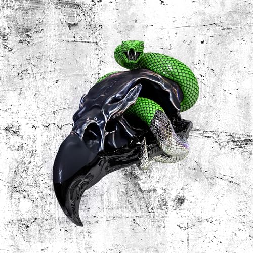 Black skull with a green snake coiled around it, on a textured background.