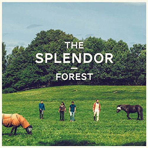 Album cover for "Forest" featuring a field, people, and a horse.
