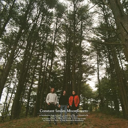 Vinyl album cover: three people stand among tall trees in a forest.