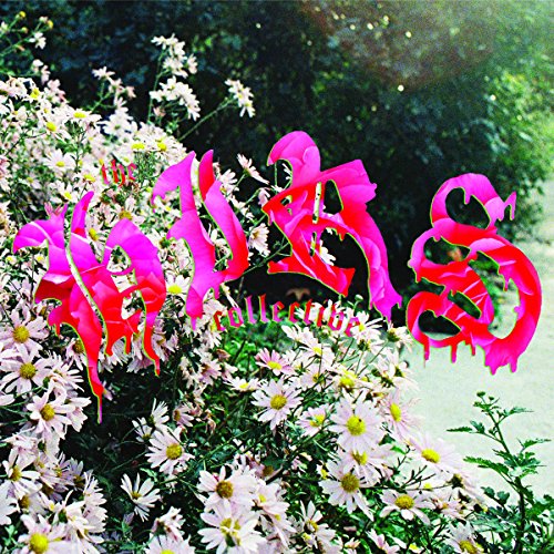 CD cover with pink, dripping text over a field of white daisies.