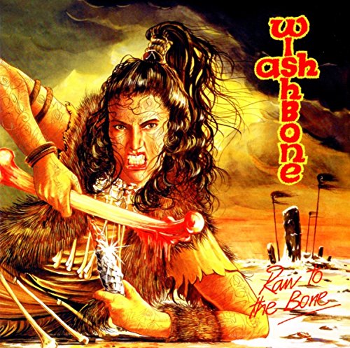Wishbone Ash "Raw To The Bone" CD cover with a warrior illustration.