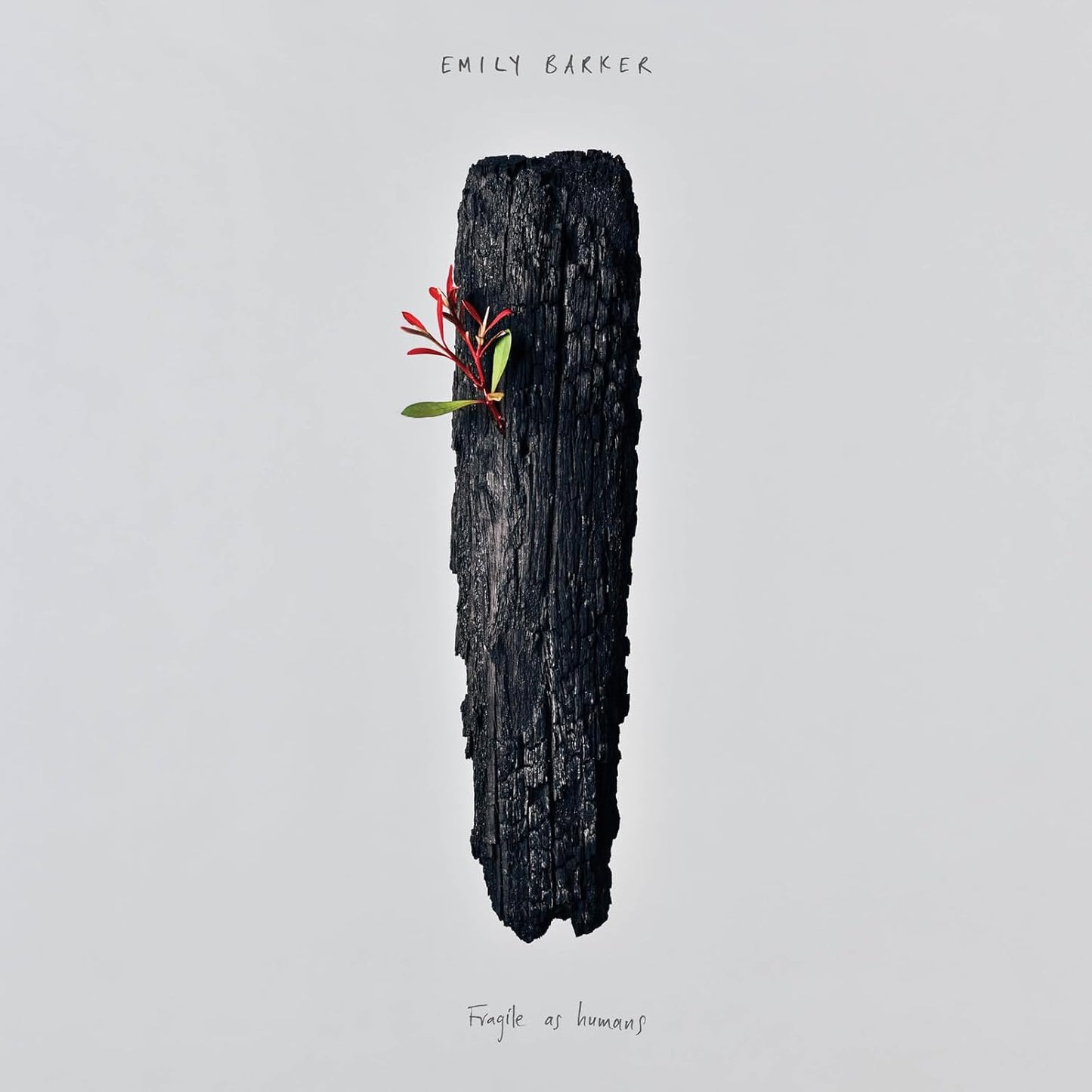 CD cover: burnt wood with small red leaves, text “Fragile as Humans”.