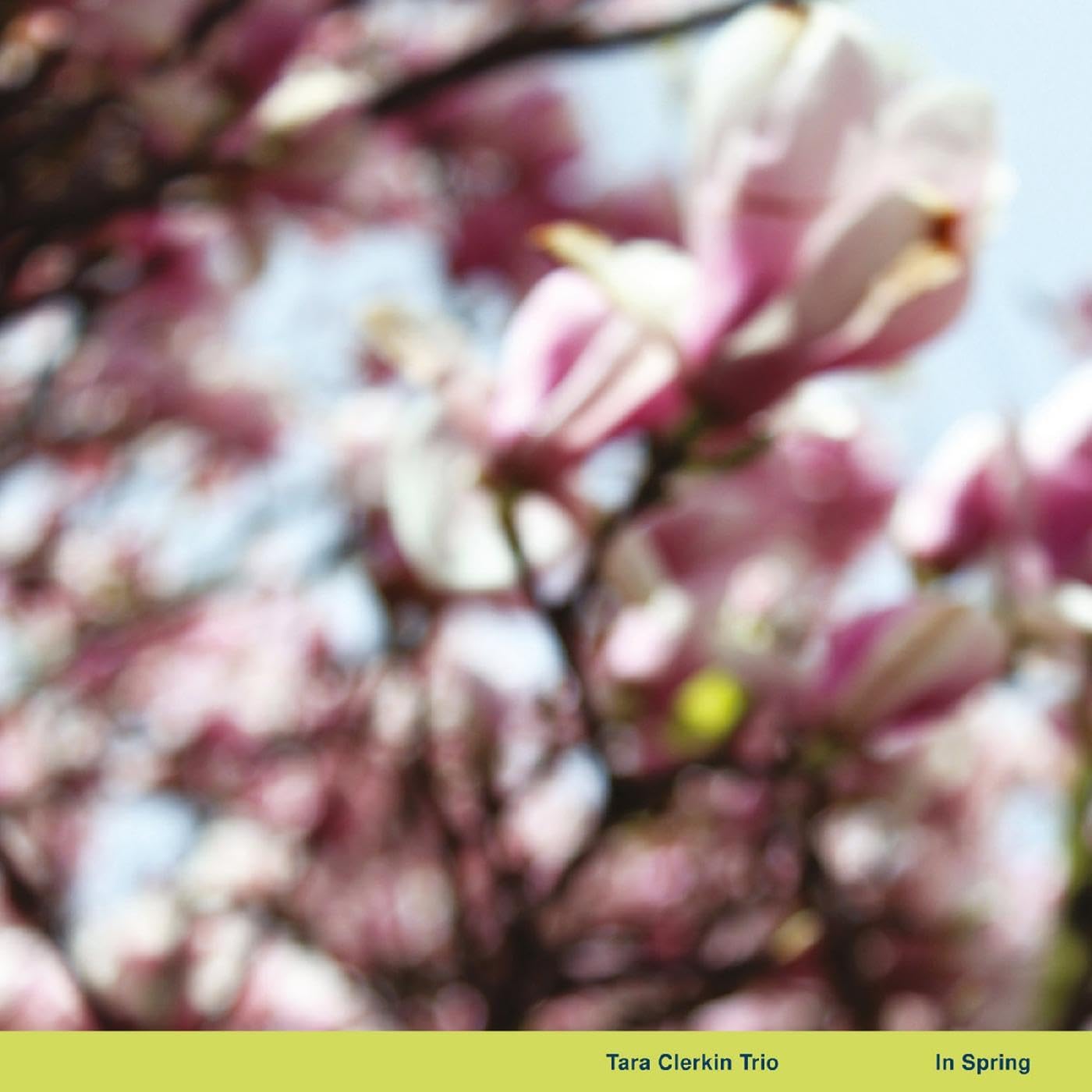 Close-up of pink and yellow magnolia blossoms, album cover for Tara Clerkin Trio.