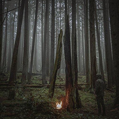 Person near a small fire in a dense, misty forest.