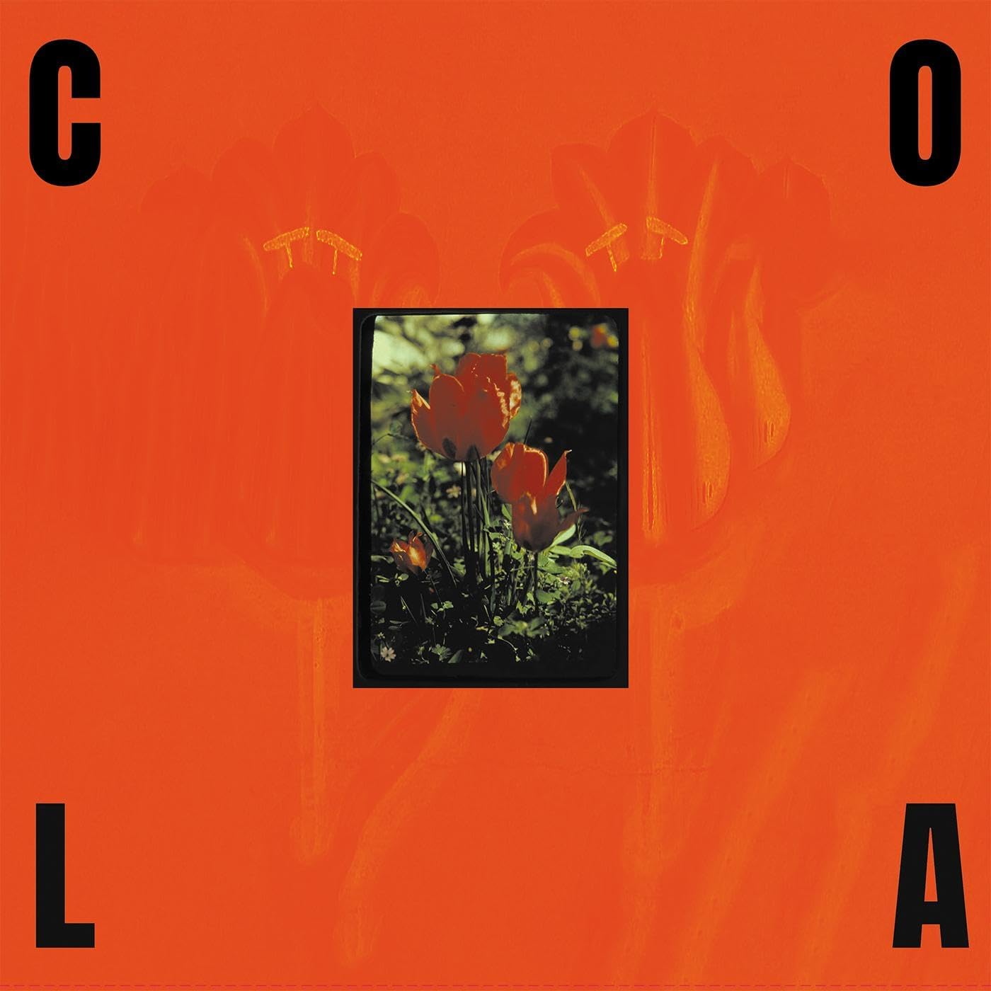Orange album cover with central image of red flowers in a garden.