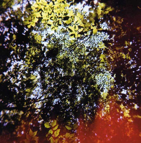 CD cover with abstract foliage and light leaks, dark and colorful.