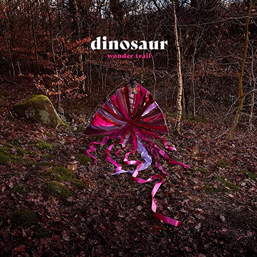 CD cover: pink kite in a dark, mossy forest setting.