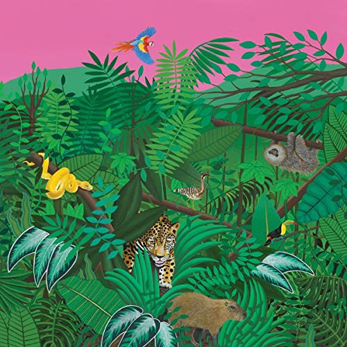 Colorful illustration of rainforest animals including a jaguar, sloth, and birds.