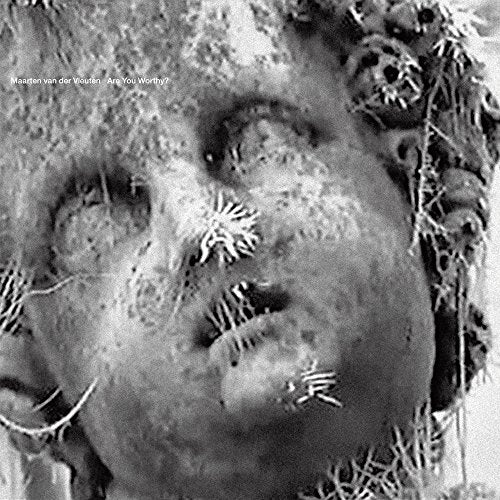 Black and white close-up of a weathered stone face with foliage.