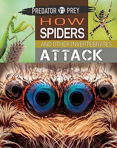 Predator vs Prey: How Spiders and other Invertebrates Attack!