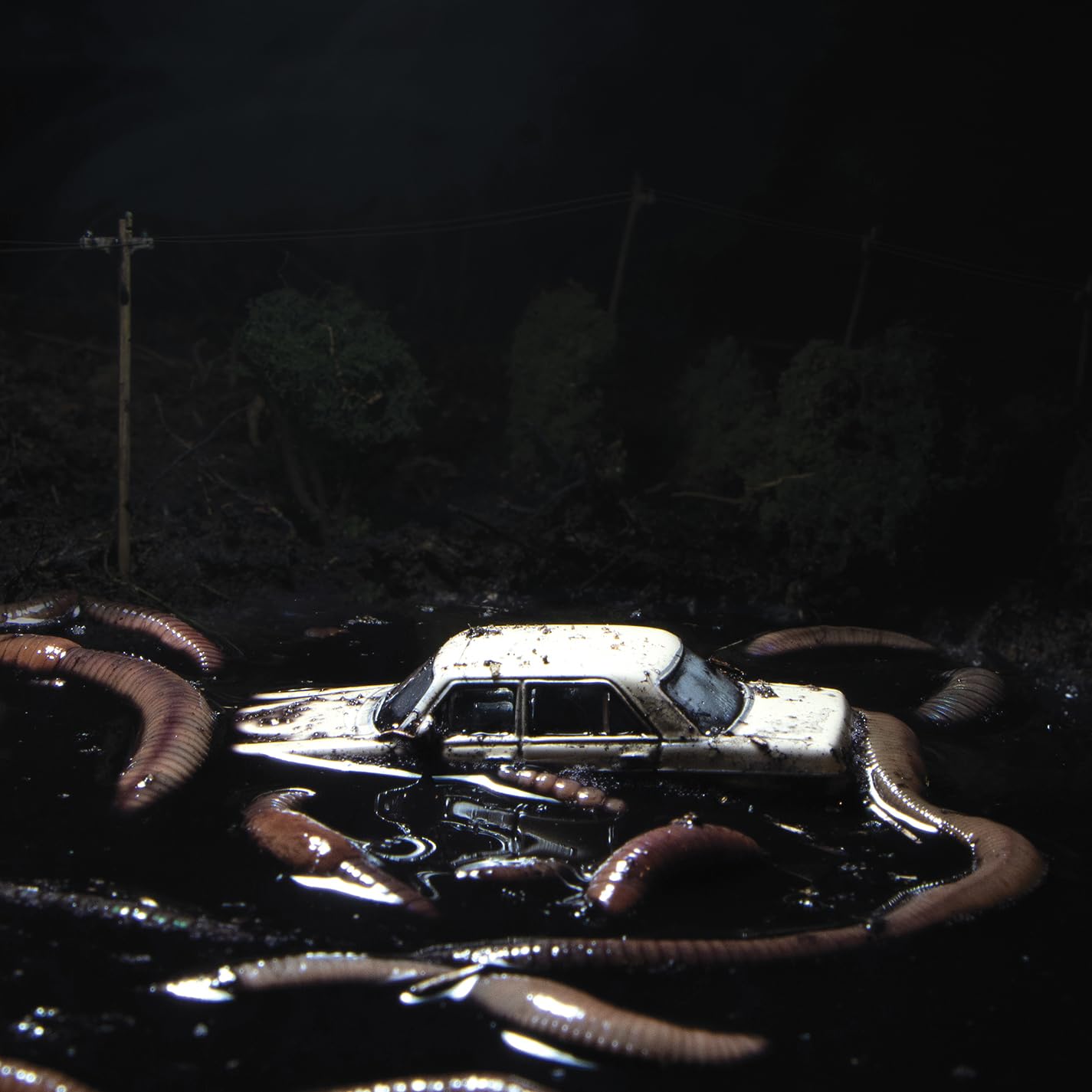 Dark, surreal image of a car surrounded by worm-like creatures.