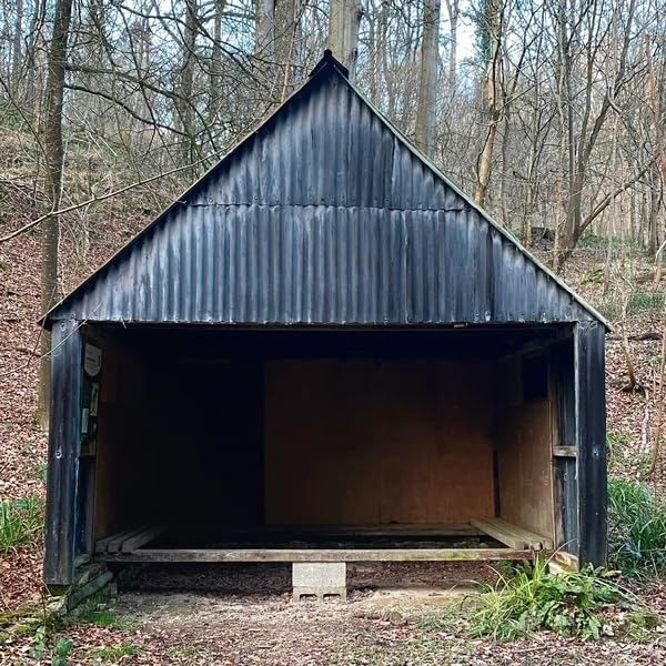 Dark, corrugated metal shed opening into shadow, surrounded by trees.