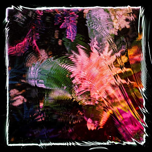 Abstract, distorted floral image on a CD cover with bright pinks and greens.
