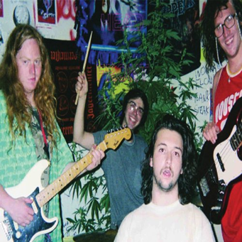 Four musicians with guitars pose in front of foliage and posters.