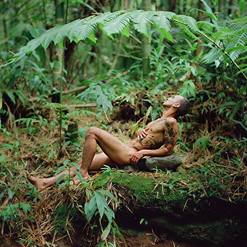 Man with tattoos reclines in lush, green tropical foliage.