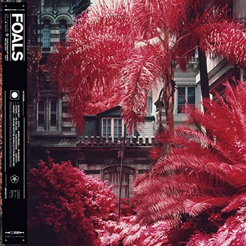 Foals album cover: red trees in front of a building.