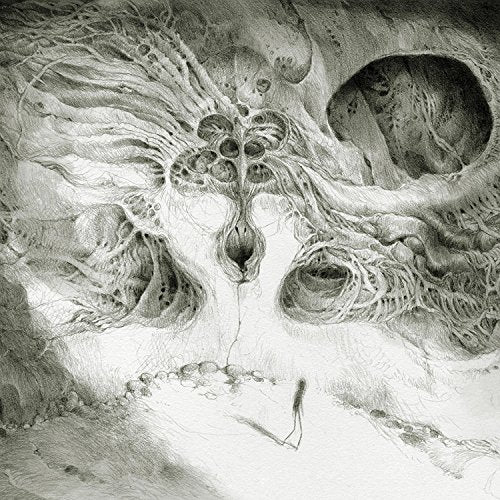 Black and white drawing of an organic, cavernous, skull-like form.