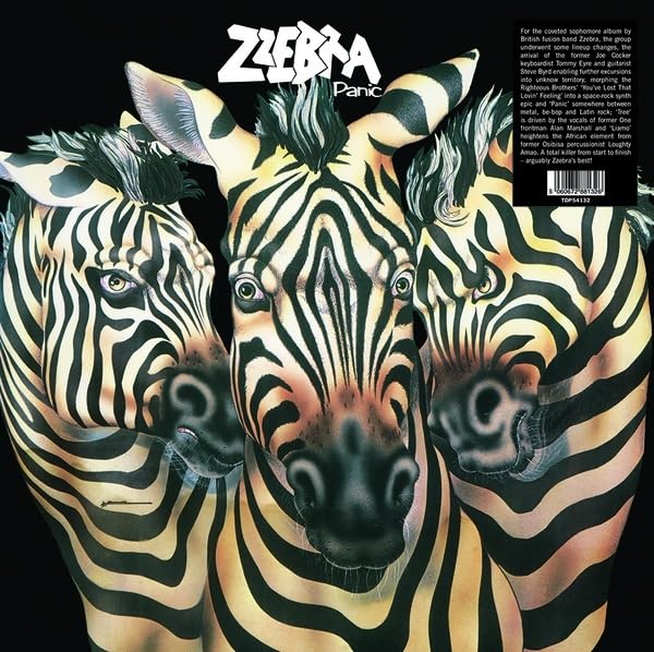 Album cover for Zzebra’s “Panic” featuring four zebras’ heads together.
