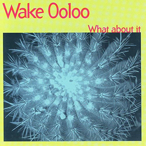 CD cover for Wake Ooloo’s “What About It” featuring a blue cactus.