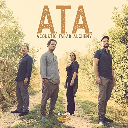 CD cover featuring four musicians standing in a field.