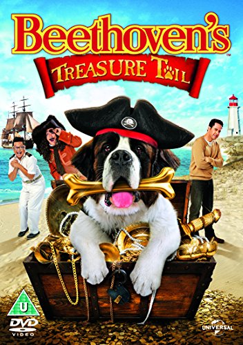 A large dog wearing a pirate hat sits in a treasure chest on a beach.