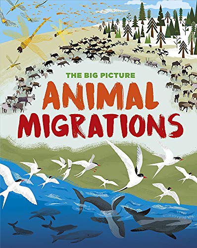 Animal Migrations (The Big Picture)