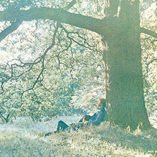 A person sits resting against the trunk of a large tree in a field.