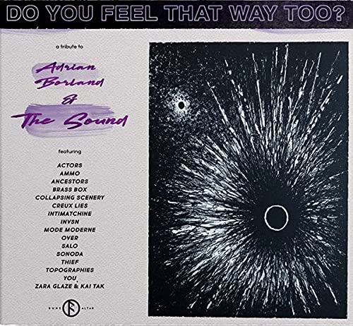 CD cover for "Do You Feel That Way Too?", a tribute to The Sound.