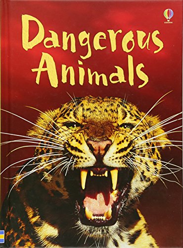 Dangerous Animals (Usborne Beginners) (Beginners Series)
