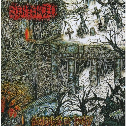 CD cover for "Shadows of the Past" by Sentenced, featuring a graveyard.