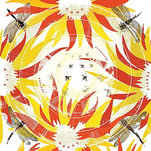 CD cover with abstract sunburst design, dragonflies, and bees.