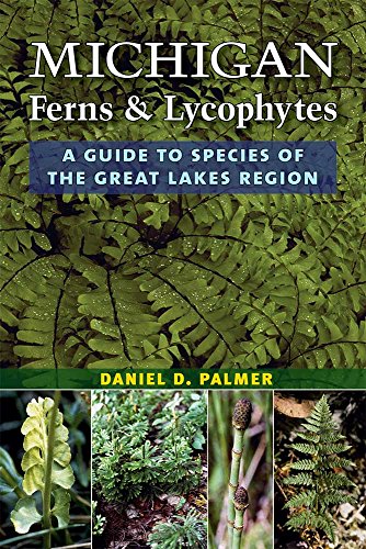 Michigan Ferns and Lycophytes : A Guide to Species of the Great Lakes Region