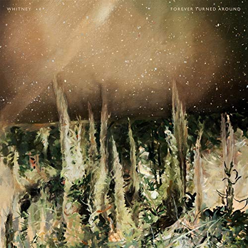Painted album cover with a forest scene and starry sky.