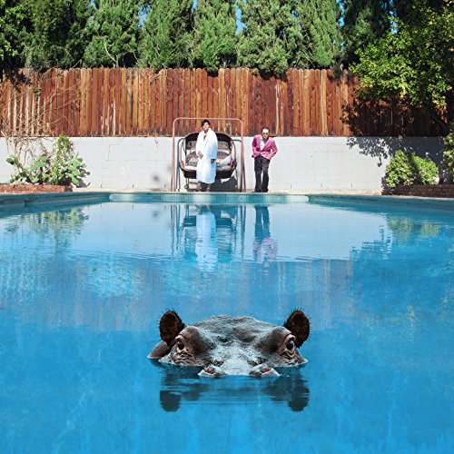 Hippo head in a blue swimming pool, two people standing by a fence.