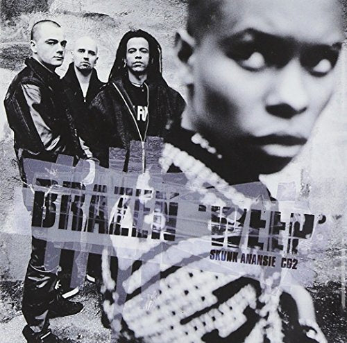 Skunk Anansie album cover: four band members with textured, blurred background.