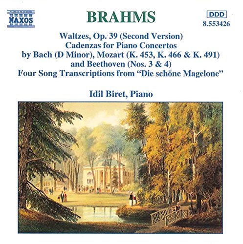 CD cover for Brahms piano works by Idil Biret, featuring a forest scene.