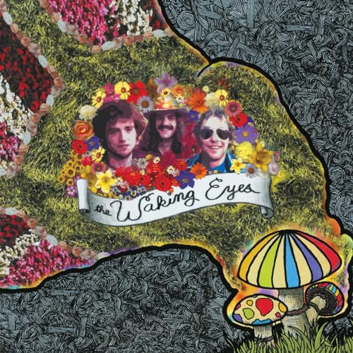 Album cover with three men surrounded by flowers and mushrooms.