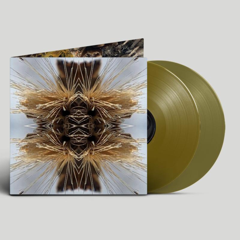 Vinyl record with abstract, symmetrical brown and beige cover art.
