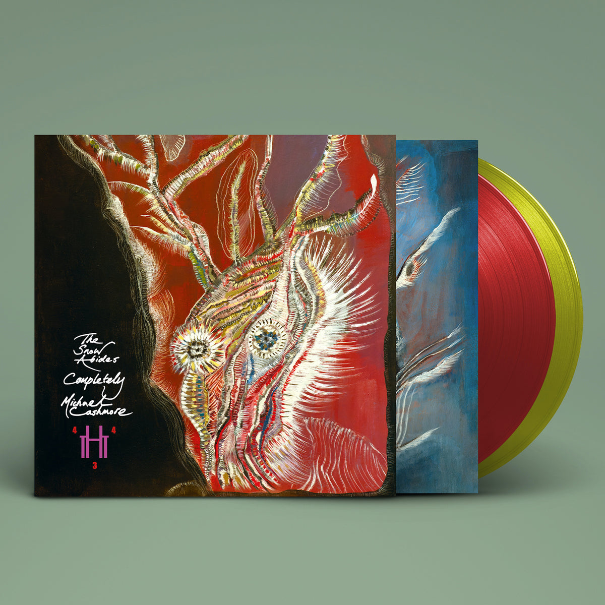 Vinyl record of "Snow Abides Completely" with colorful, abstract cover art.