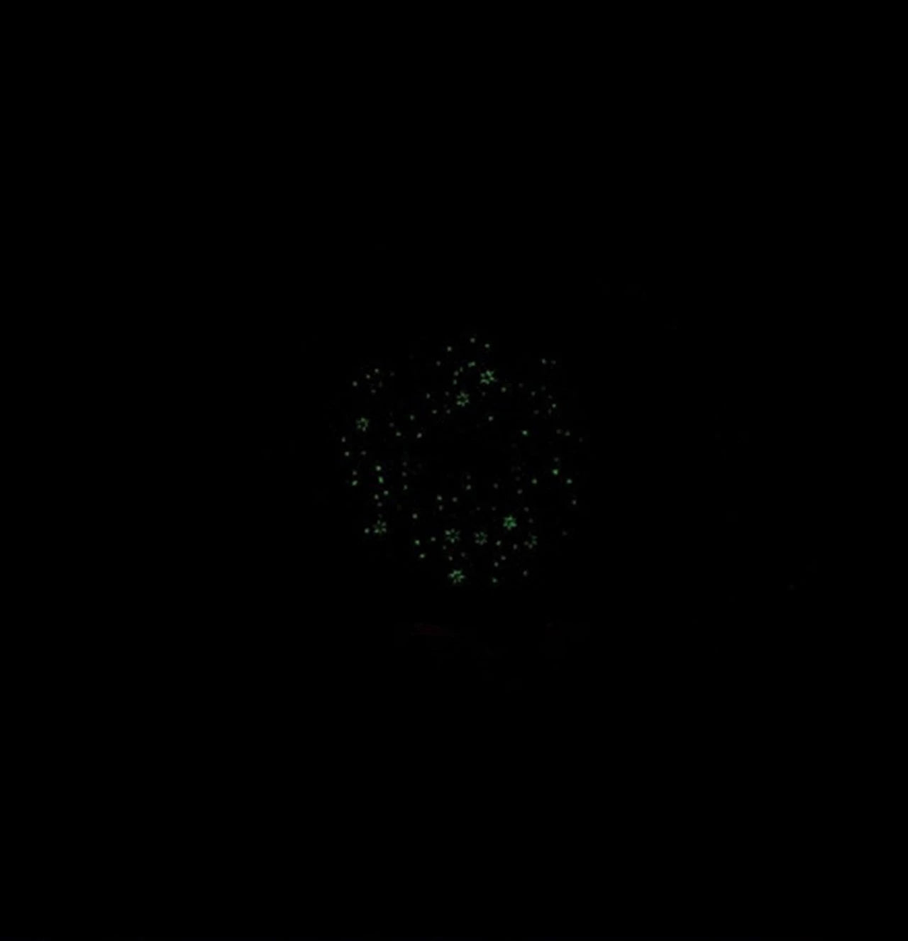 Black background with a cluster of small, green, sparkling dots.