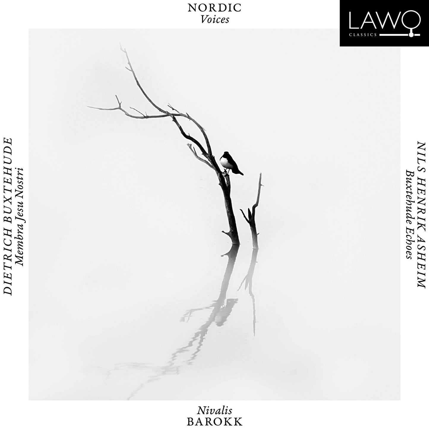 CD cover: stark, grayscale image of a bare tree with a bird.