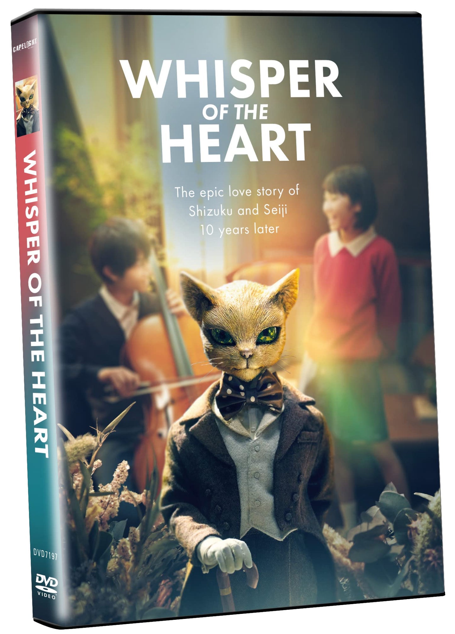 DVD cover for "Whisper of the Heart" featuring a cat in a suit.
