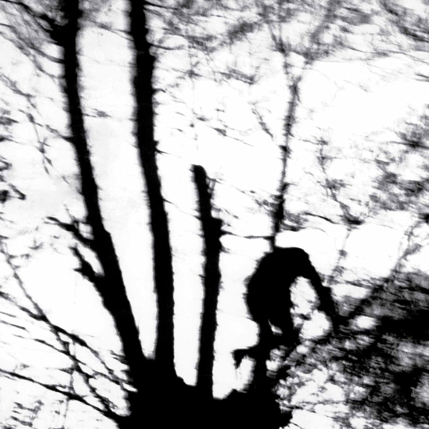 Black and white silhouette of a person embracing a tree.