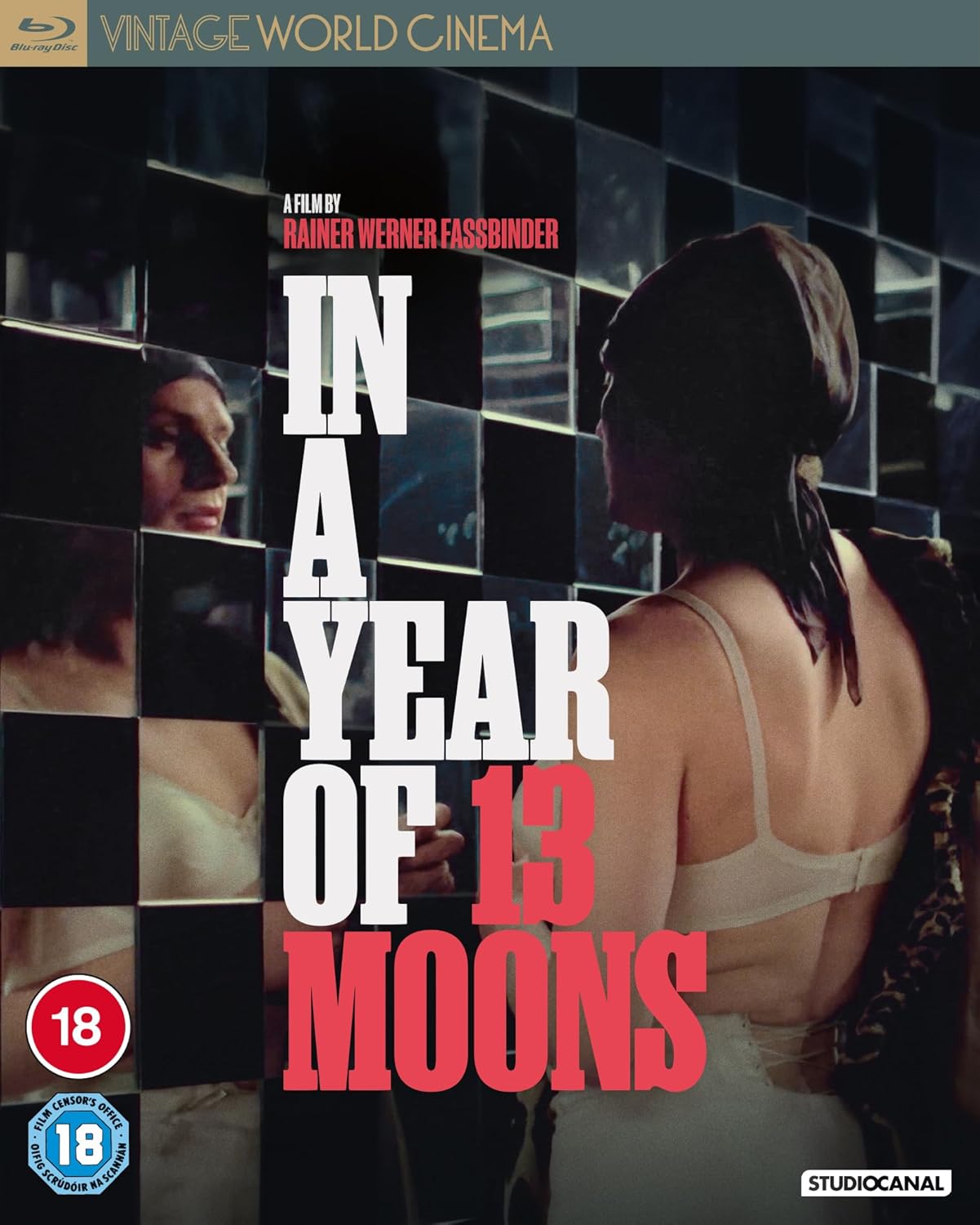 Blu-ray cover for In a Year of 13 Moons featuring a person before mirrors.