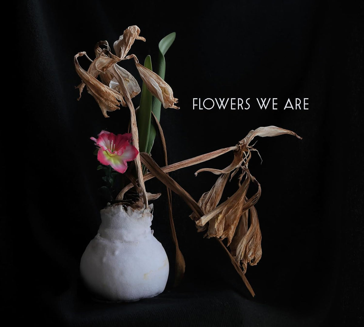 Dried and fresh flowers in a white vase against a black background.