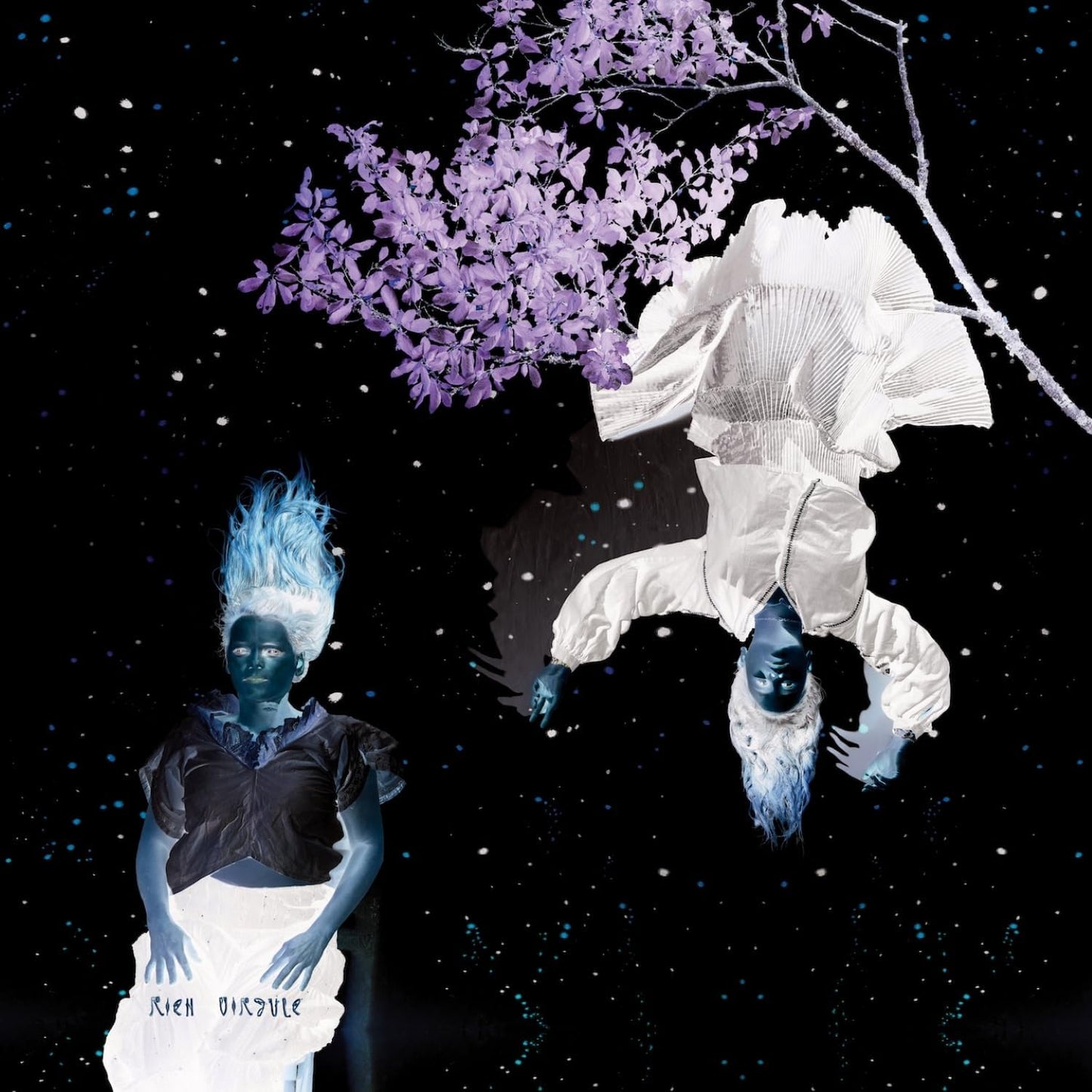 Two figures with blue hair against a starry black background, with flowers.