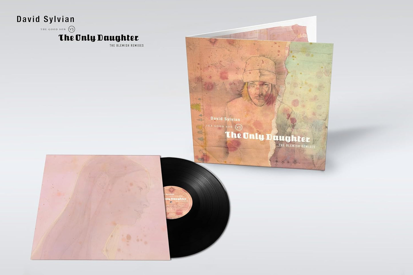 David Sylvian vinyl record with textured cover art and a portrait.