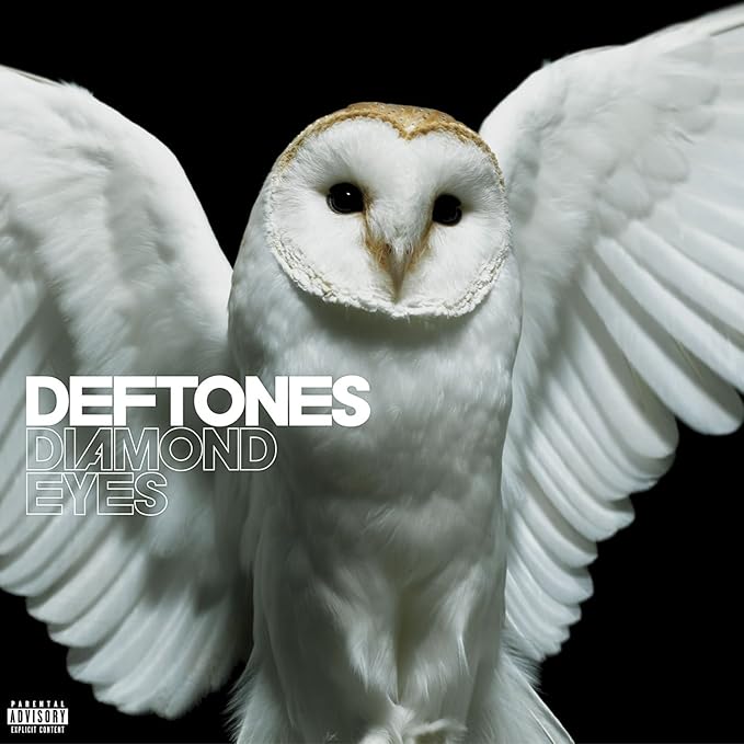 Deftones’ “Diamond Eyes” album cover featuring a white barn owl.